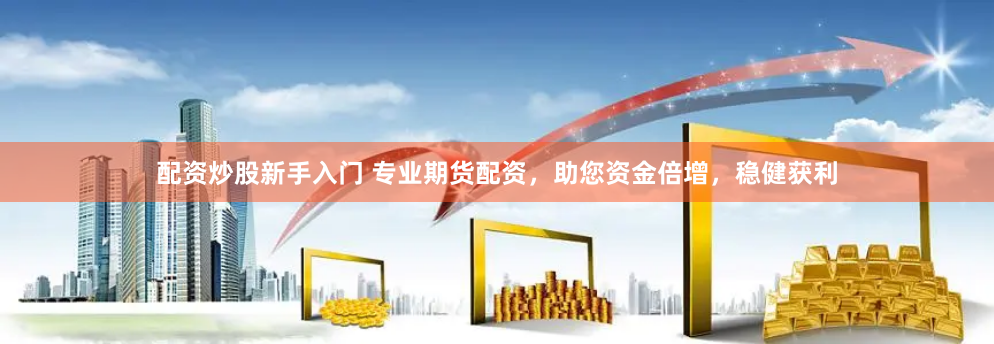 配资炒股新手入门 专业期货配资，助您资金倍增，稳健获利